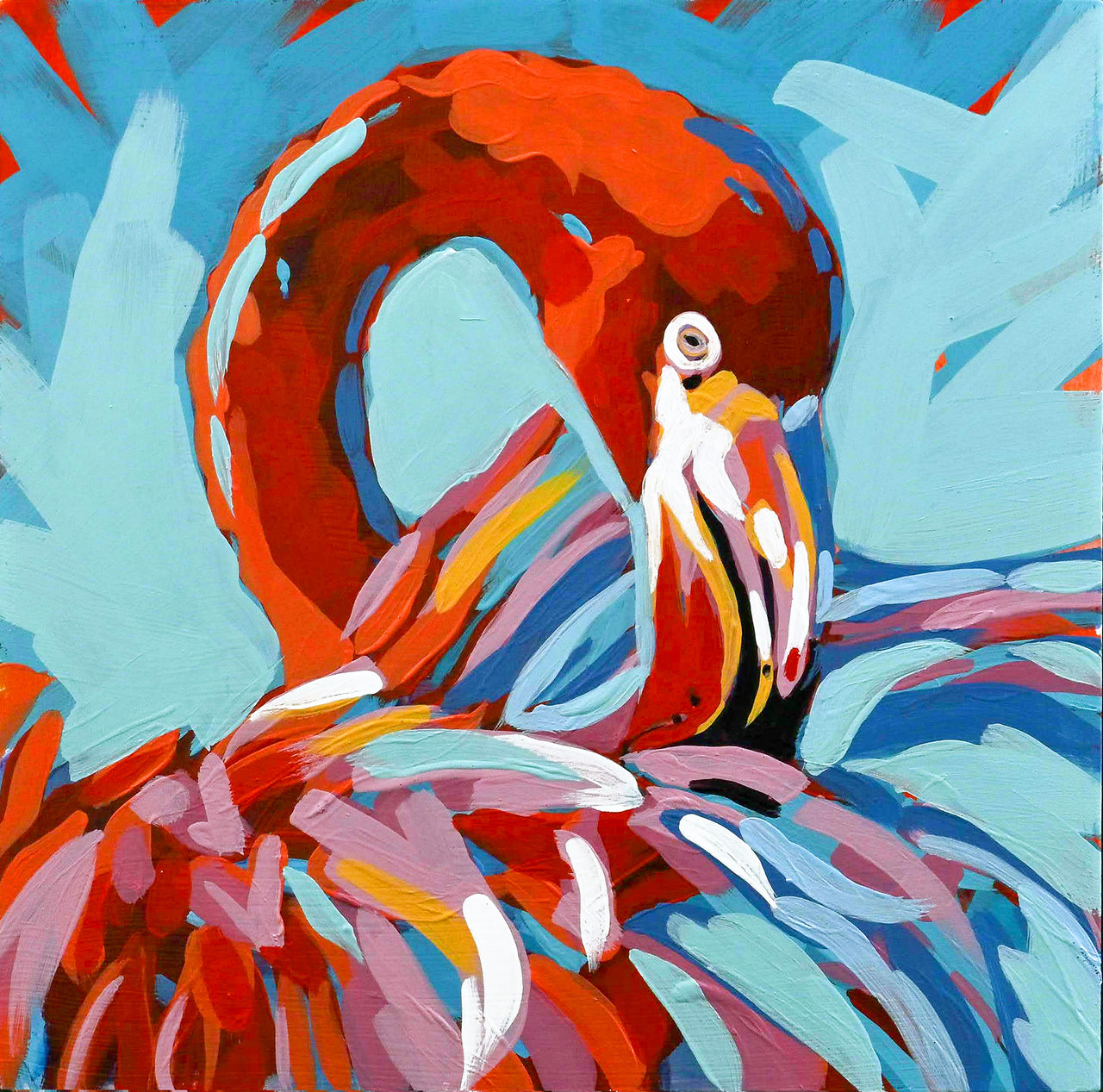 Flamingo