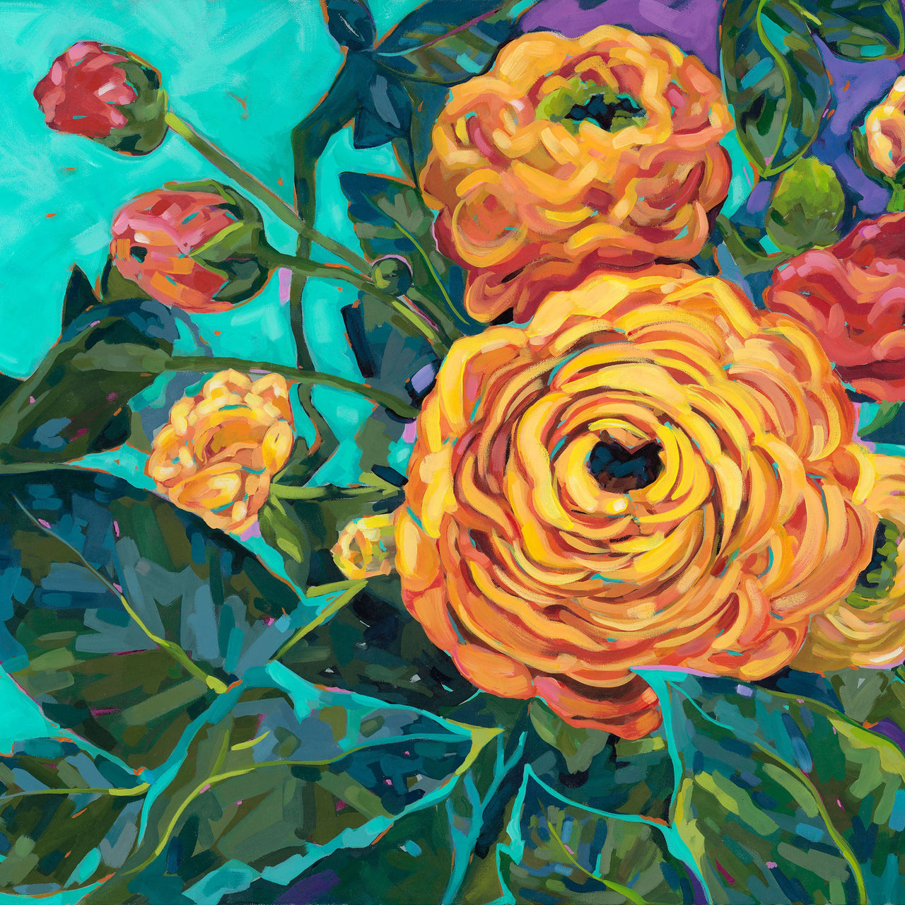 Orange Ranunculus