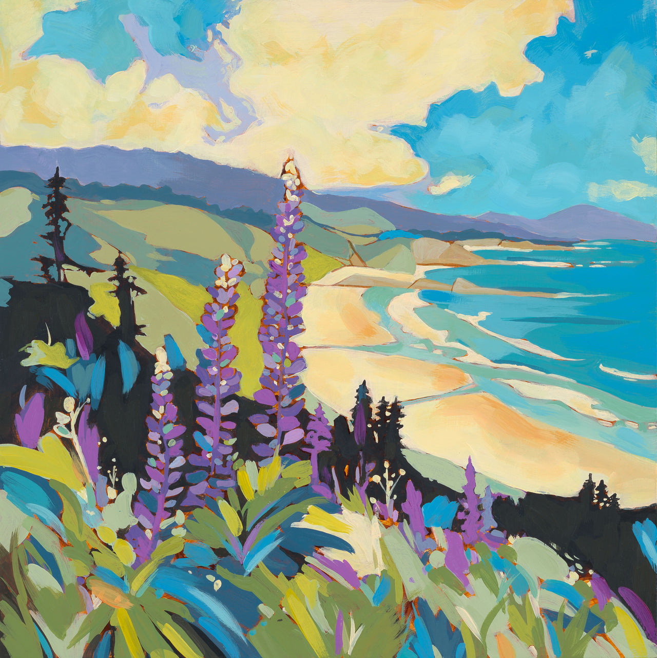 Coastal Lupines