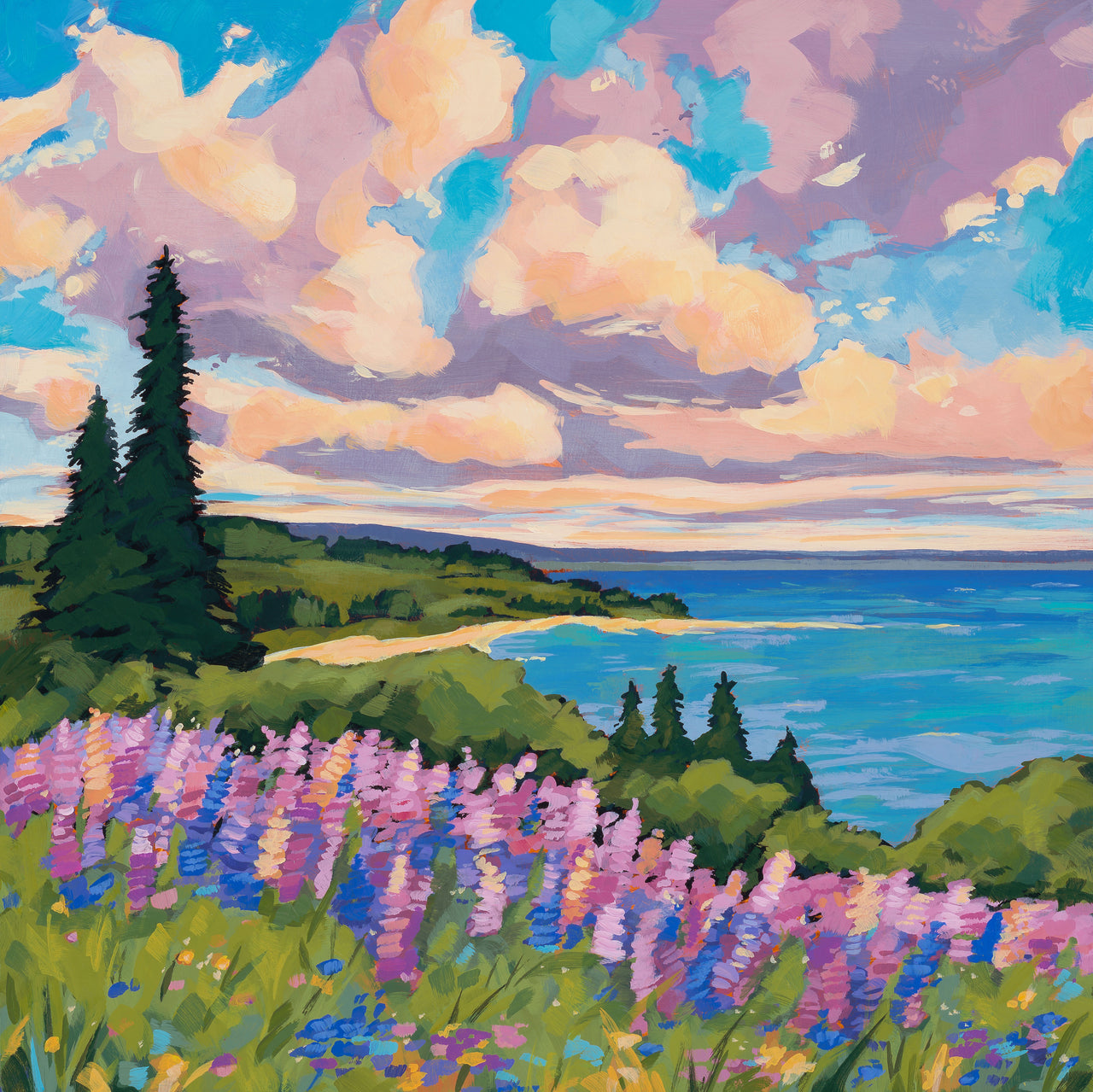 Lupines in the field (Original)