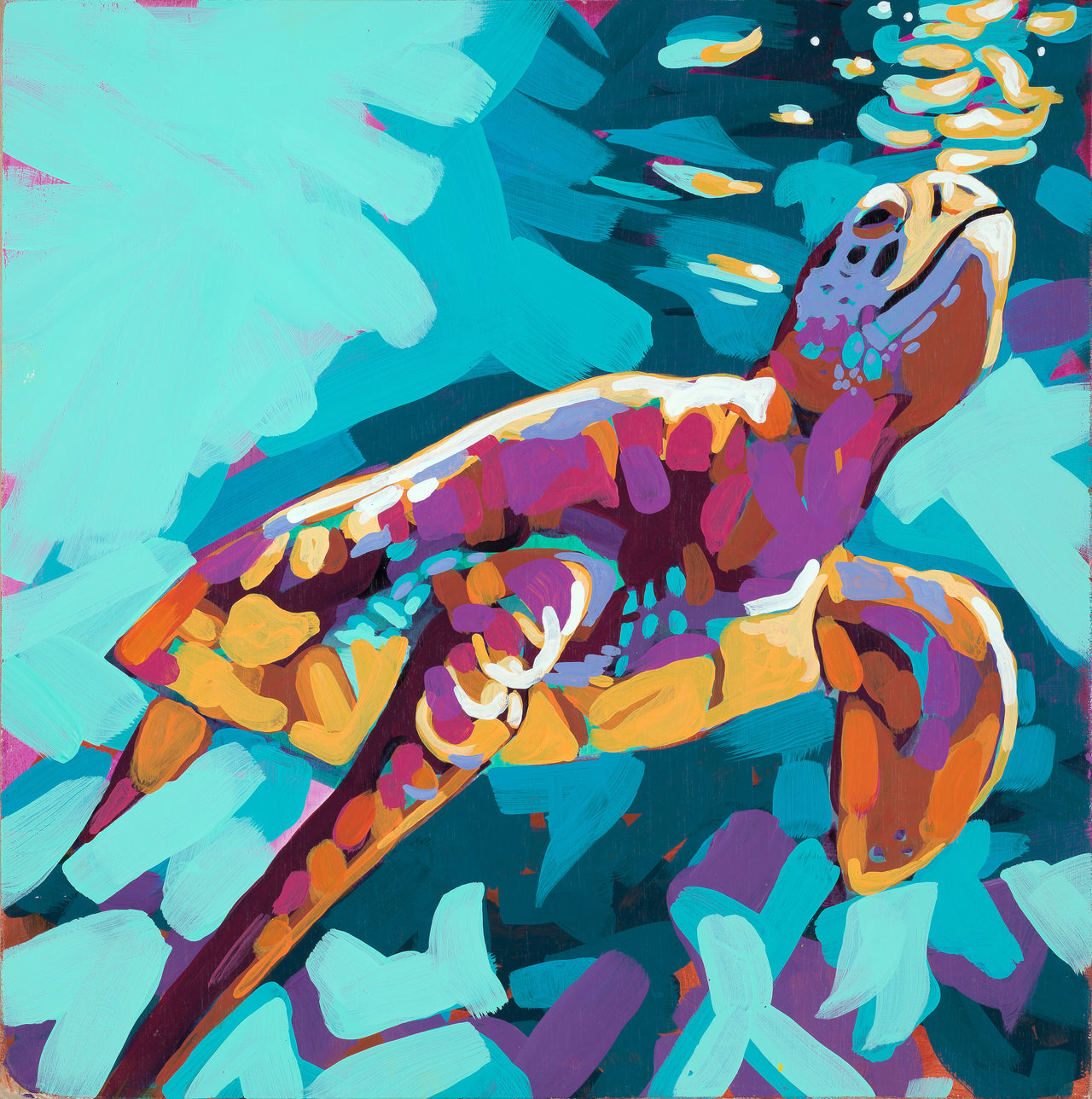 Sea Turtle