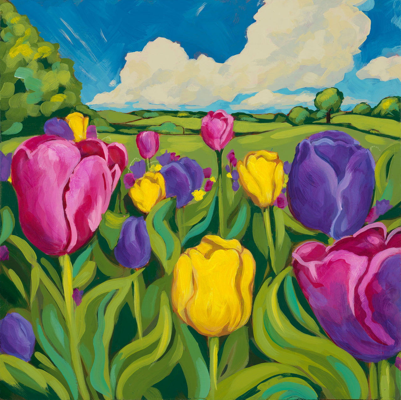 Tulips in Field