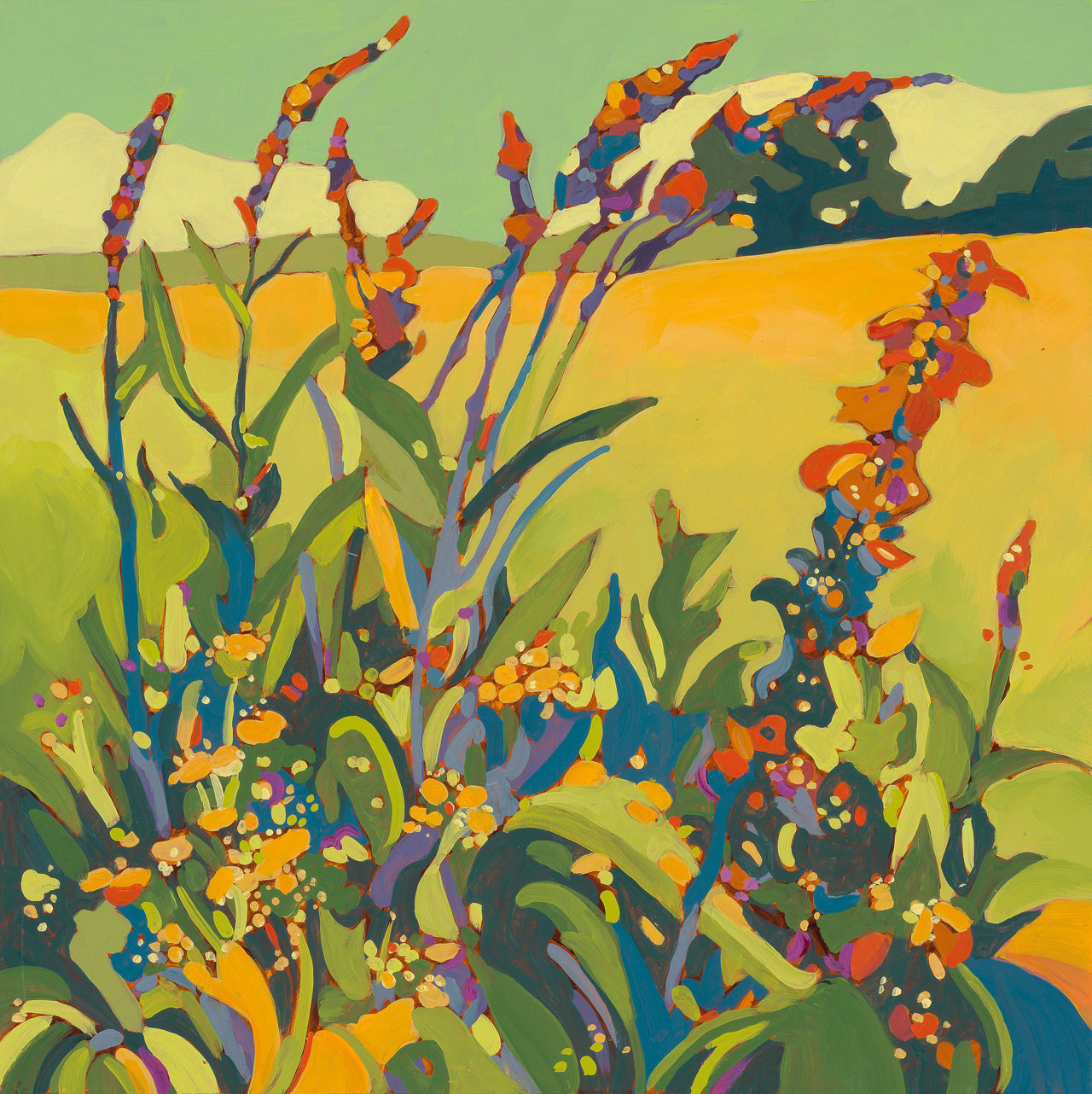 Wildflowers