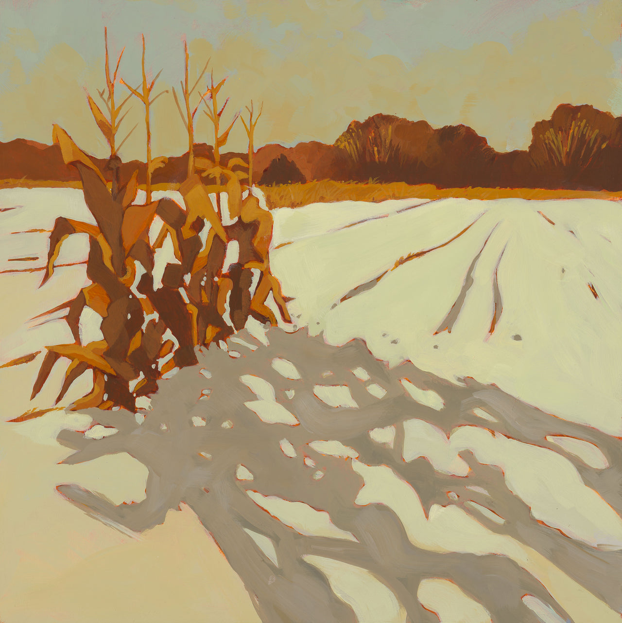 Winter Corn Field